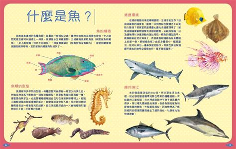 魚類有哪些|魚(魚類):基本信息,動物特徵,動物外形,紡錘形,側扁型,。